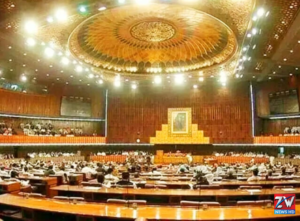 Senate members discussing and criticizing the national budget during an official parliamentary session.