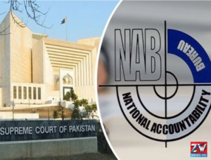 Government statement on Supreme Court authority in NAB cases and legal proceedings
